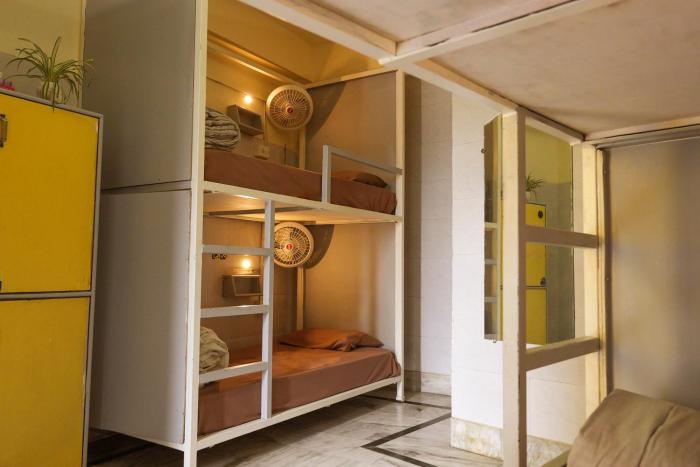 shalom backpackers rishikesh adults only