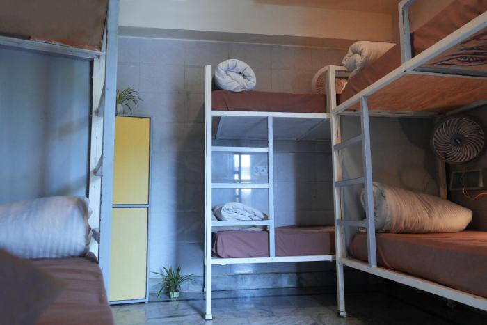 shalom backpackers rishikesh adults only