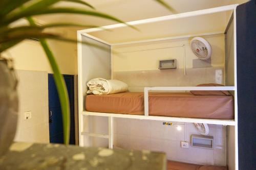 shalom backpackers rishikesh adults only