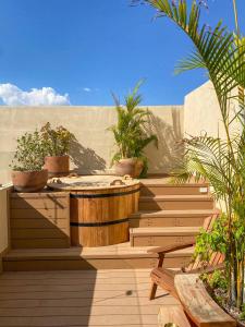 san miguel de allende