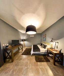 san miguel de allende