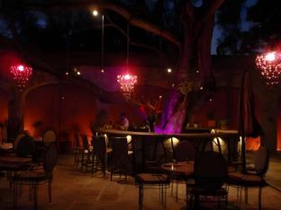 san miguel de allende