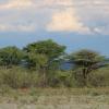 omalanga lodge