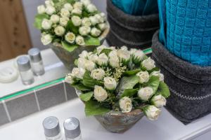 pension and appartements wild