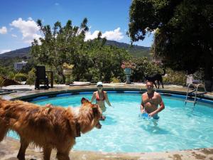 green door hostal san gil hostel