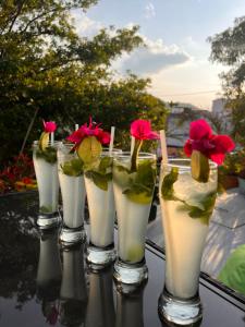 green door hostal san gil hostel