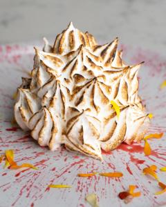 the o hotel trademark collection by wyndham