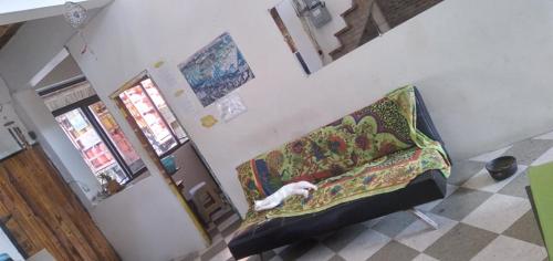 casa mafer hostel