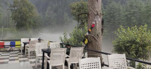 shanti cafe and hostels