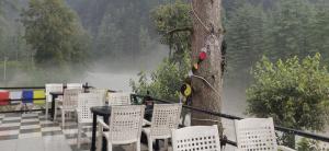 shanti cafe and hostels