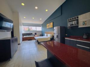 provenza lofts