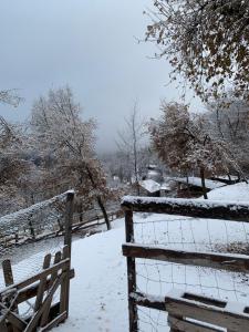 les ecrins de belvedere