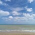 del mar vendra