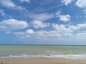 del mar vendra