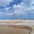 del mar vendra