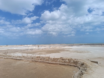 del mar vendra