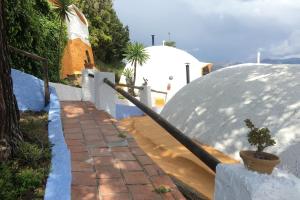 torrox