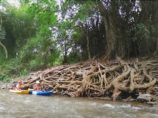 chiang khong