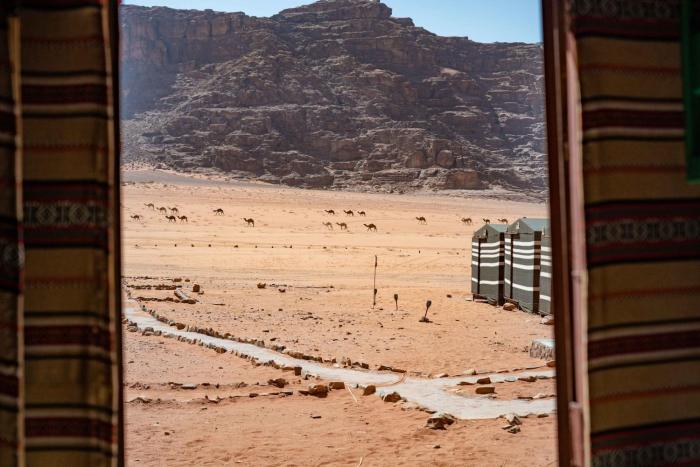 magic bedouin star