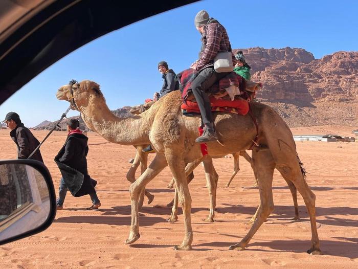 magic bedouin star