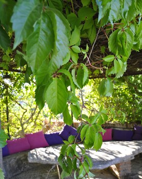 Villa Ignacia B&B,Ronda>>Arriate,3 star