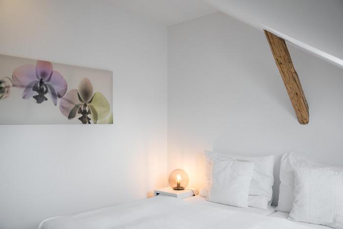 pytloun apartments liberec