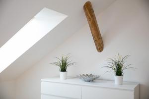 pytloun apartments liberec