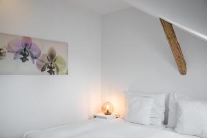 pytloun apartments liberec