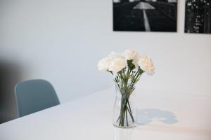 pytloun apartments liberec