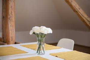 pytloun apartments liberec