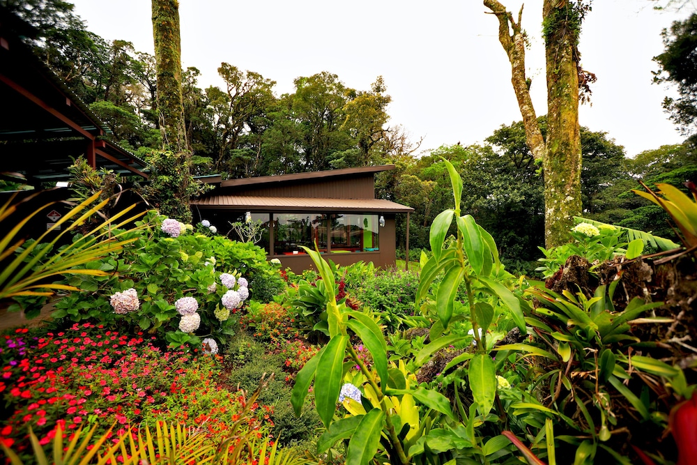 monteverde