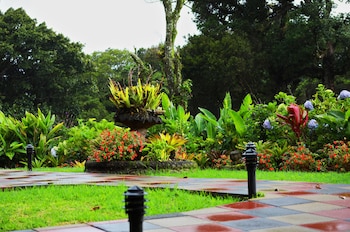 monteverde