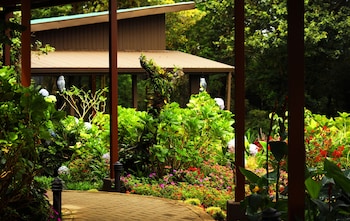 monteverde