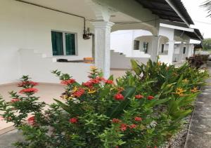 alpha motel