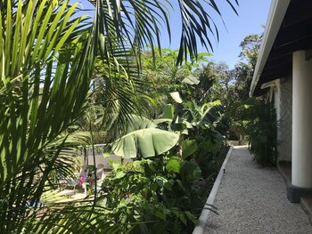 hotel flores adults only