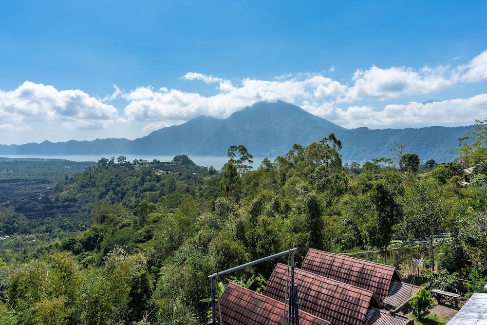 tiing bali guesthouse