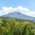 tiing bali guesthouse