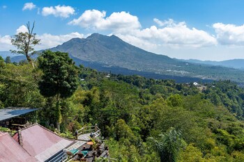 tiing bali guesthouse