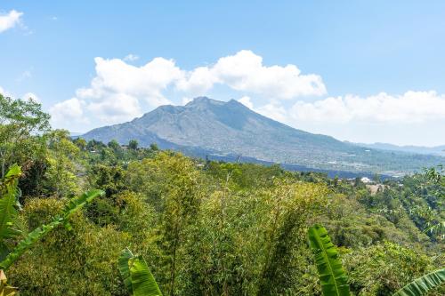 tiing bali guesthouse