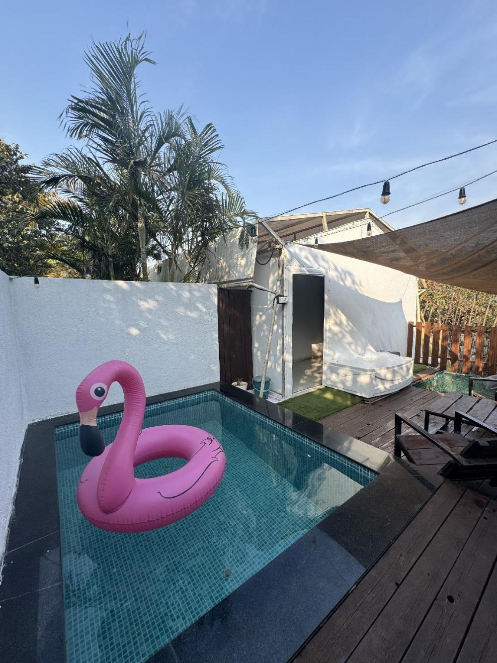 canvas resort