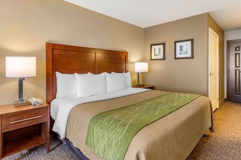 comfort inn and suites el centro i 8