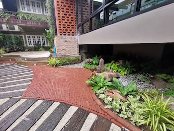 fang chiang mai