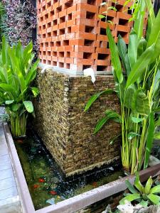 fang chiang mai