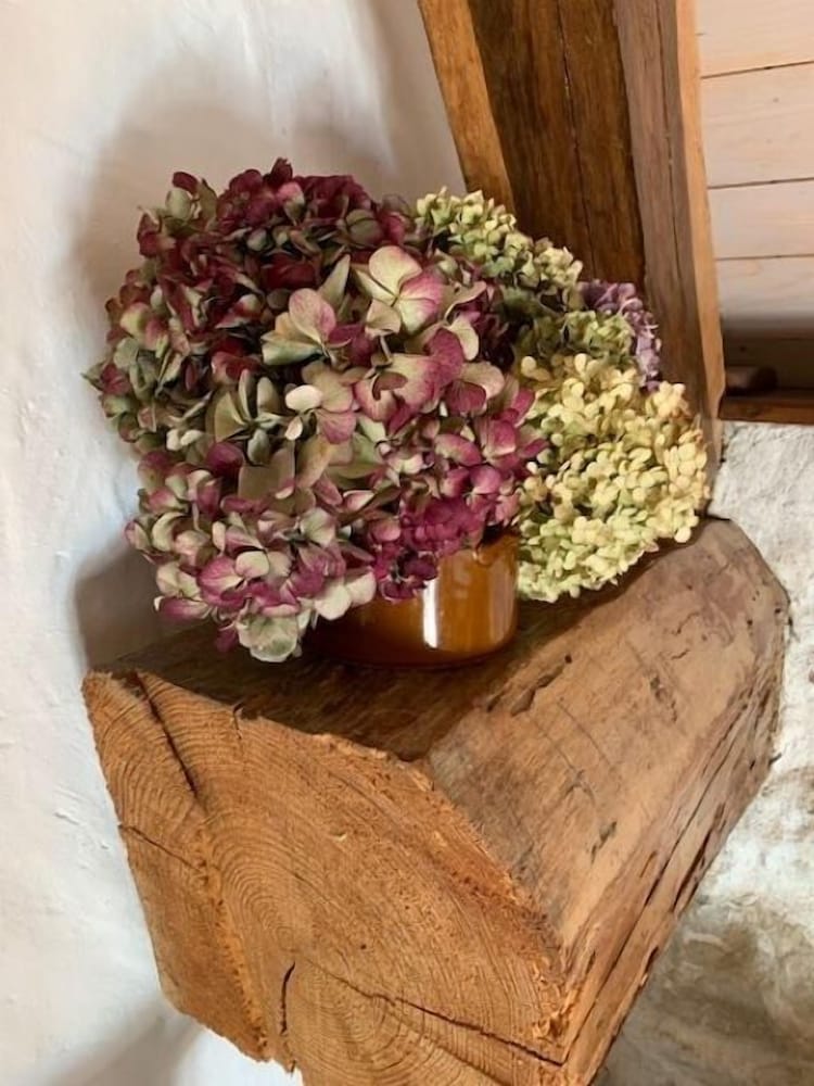 la bageatiere lac daiguebelette