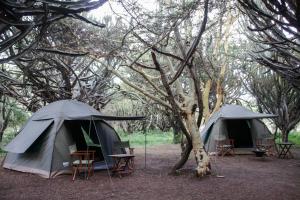 Maji Moto Maasai Cultural Camp,Narok>>Maji Moto,2.5 star