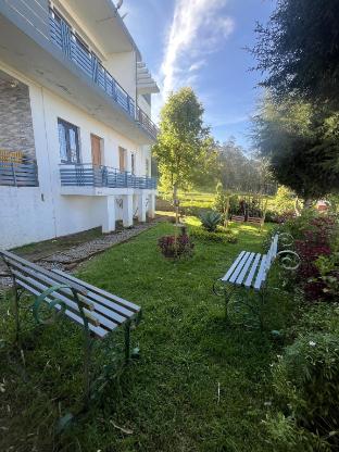 silver bett resort