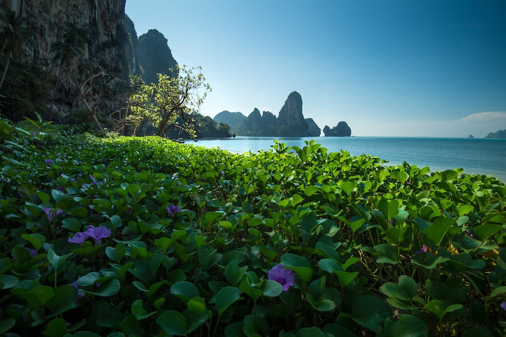 tinidee hideaway tonsai beach krabi