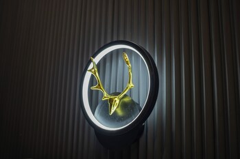 Hotel Shankar Palace Beawar,Near Dargah Sharif,3 star