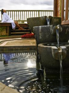 aanari hotel and spa