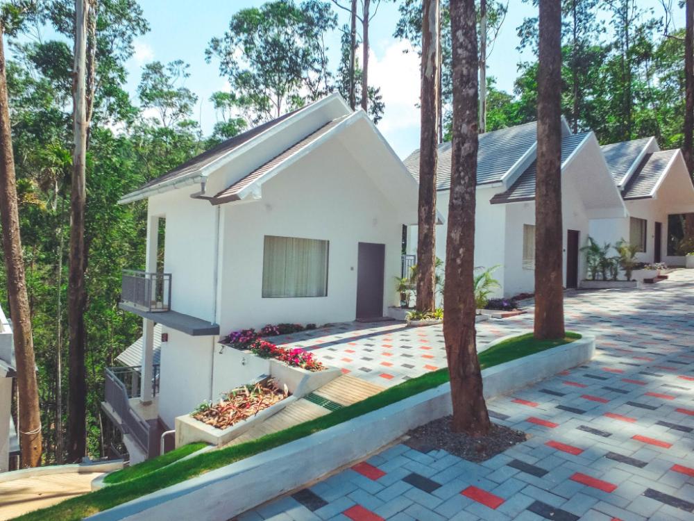 eucalyptus resort munnar